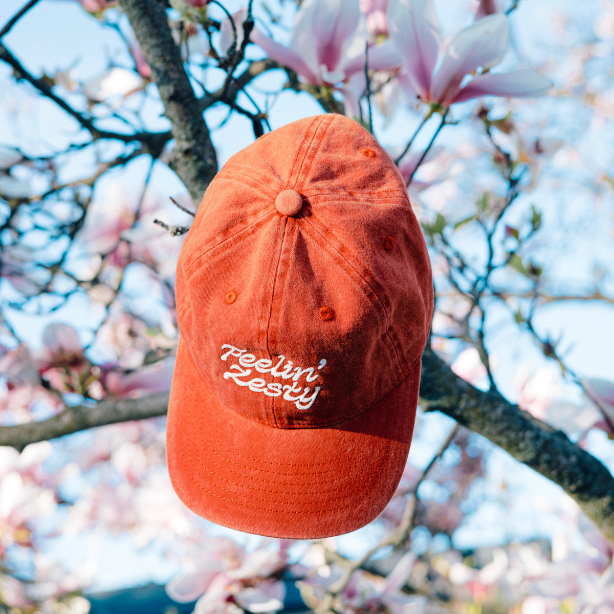 Feelin' Zesty Dad Hat